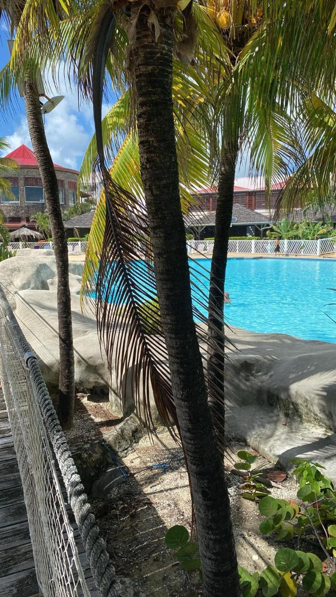 Studio Bord De Mer Avec Piscine - Le Manganao, Saint-Francois Экстерьер фото